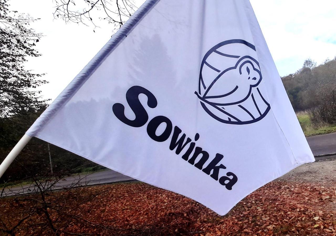 ルトビスカ Sowinkaヴィラ エクステリア 写真